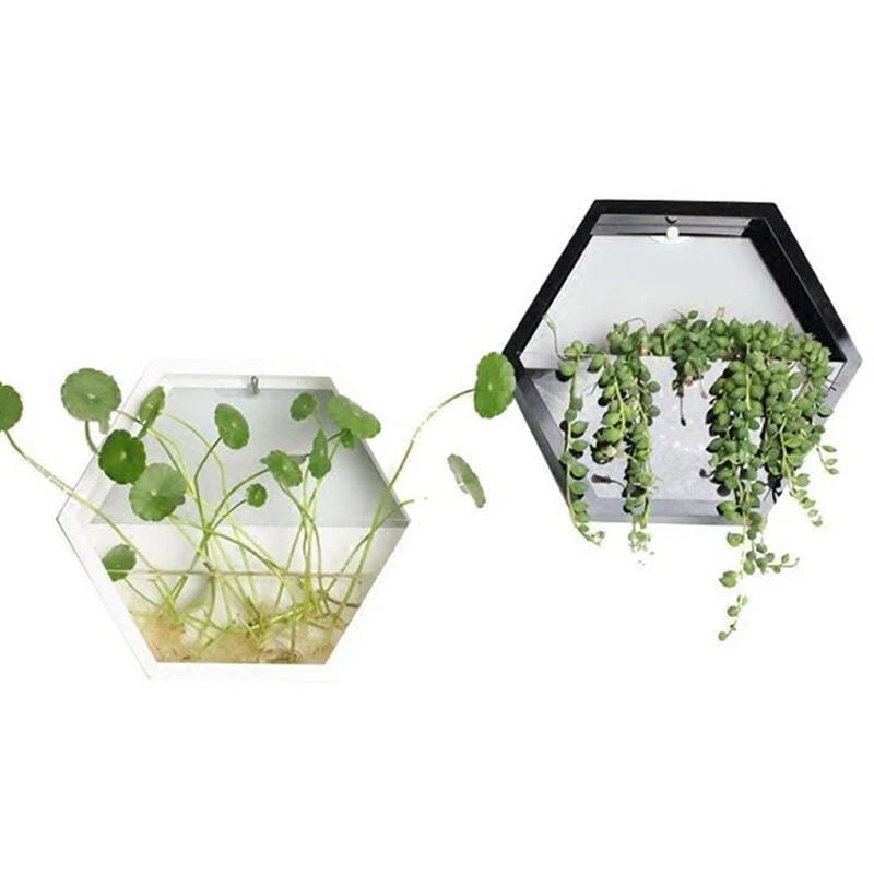 Hexagonal Hydroponic Wall Planter