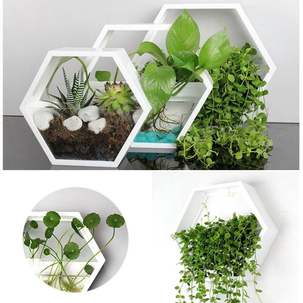 Hexagonal Hydroponic Wall Planter