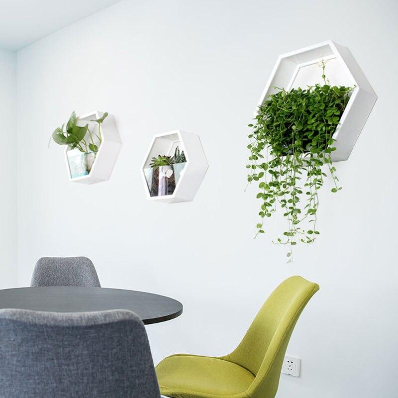 Hexagonal Hydroponic Wall Planter