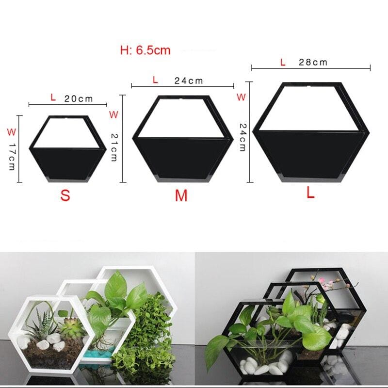 Hexagonal Hydroponic Wall Planter
